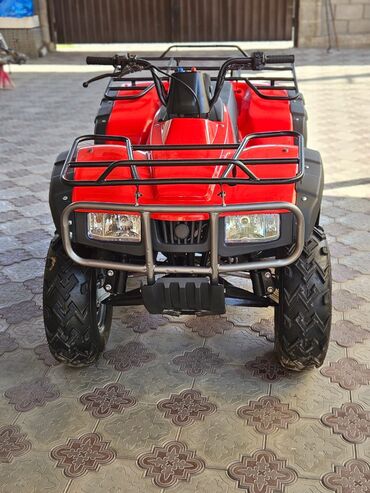 мотоцикл с автоматической коробкой передач: Квадроцикл Бензин, 200 куб. см, Взрослый