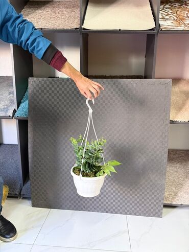 Otaq bitkiləri: Asma saksıda dekorativ yaşıl bitki - Ağ rəngli asma plastik saksı -da lalafo.az — 3 Otaq bitkiləri: Asma saksıda dekorativ yaşıl bitki - Ağ rəngli asma plastik saksı — 3