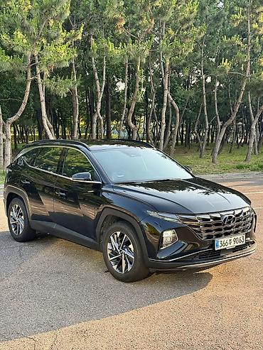 купить tucson: Hyundai Tucson: 2020 г., 1.6 л, Автомат, Гибрид, Кроссовер — 1