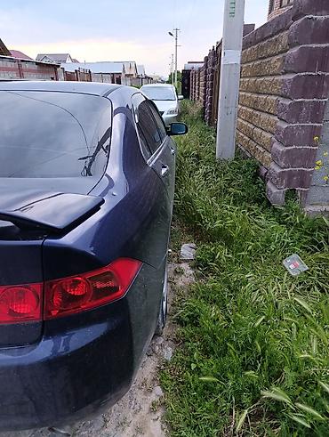 bcd com: Honda Accord: 2003 г., Автомат, Седан — 7
