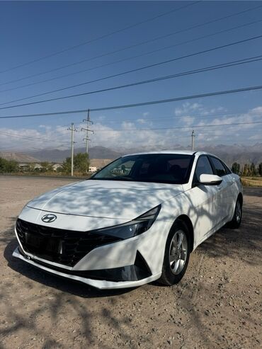 торпедо ауди: Hyundai Avante: 2020 г., 1.6 л, Автомат, Бензин, Седан