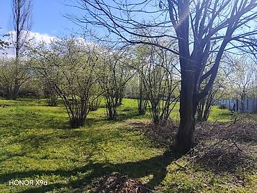 Torpaq sahələrinin satışı: Azərbaycanın ən gözəl guşələrindən biri olan Oğuz rayonu Xaçmaz — 19
