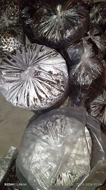 iran peci işlemiş: 🌱 250 Litrlik Torf Satılır Keyfiyyətli torf satışda. Gül, çiçək — 2