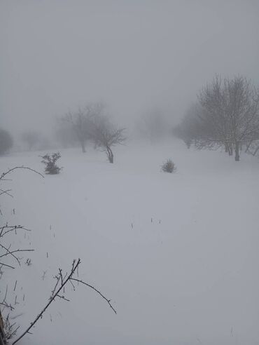 Günlük kirayə evlər: 200 kv. m, 2 otaqlı — 11