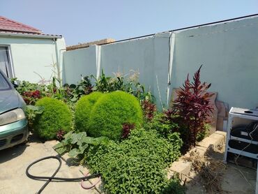 Həyət evləri və villaların satışı: Həyətyanı fərdi yaşayış ev aşagı güzdək yola yaxın al marketin arxası -da lalafo.az — 11 Həyət evləri və villaların satışı: Həyətyanı fərdi yaşayış ev aşagı güzdək yola yaxın al marketin arxası — 11