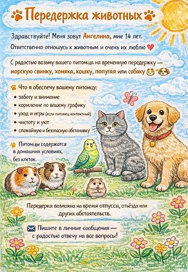 сколько стоит собака бу: 🐾 Heyvanların müvəqqəti saxlanması 🐾 Salam! Mənim adım Angelinadır, 14 — 1