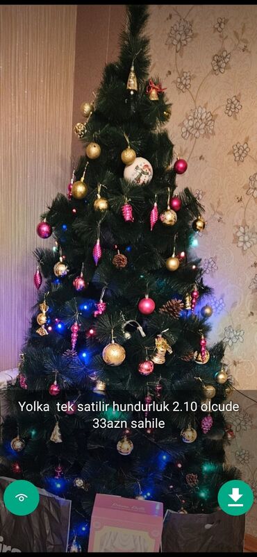 Yeni il ağacları: Yolkalar şaxda baba sekillerde qiymət məlumat qeyd olunub unvan Gence -da lalafo.az — 9 Yeni il ağacları: Yolkalar şaxda baba sekillerde qiymət məlumat qeyd olunub unvan Gence — 9