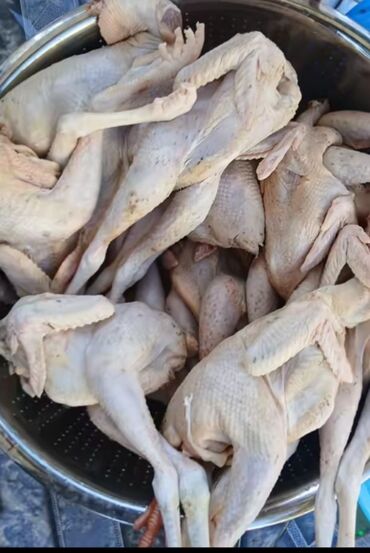 Quş: Məhsul: Təmizlənmiş kənd toyuqları (tam karkas) Təsvir: - Şəkillərdə — 8