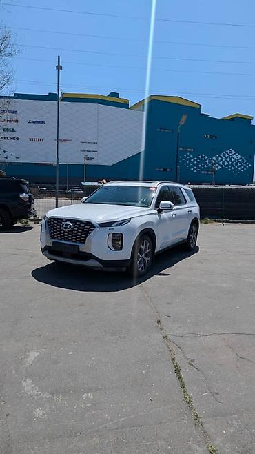 чехол чанган: Hyundai Palisade: 2020 г., 2.2 л, Робот, Дизель, Кроссовер — 3