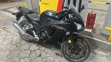 мотоцикл java: Спортбайк Honda, 300 куб. см, Бензин, Взрослый