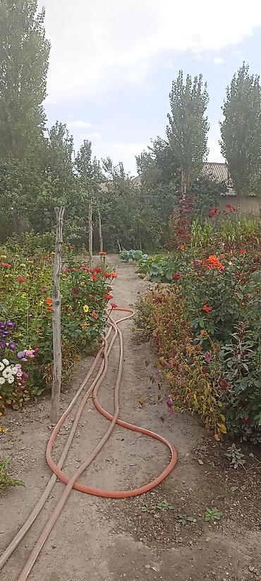 Үйлөр: Продам дом, в доме 3 комнаты, летняя кухня, хоз постройки, вода — 2