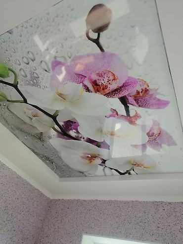 Натяжной потолок: Натяжной потолок Глянцевое, Матовое, 3D потолки Бесплатный замер, Гарантия, Бесплатная консультация — 8