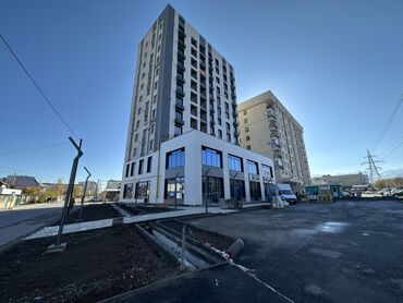 дом в аренду ак орго: Берилген, Элитка, 1 бөлмө, 43 кв. м