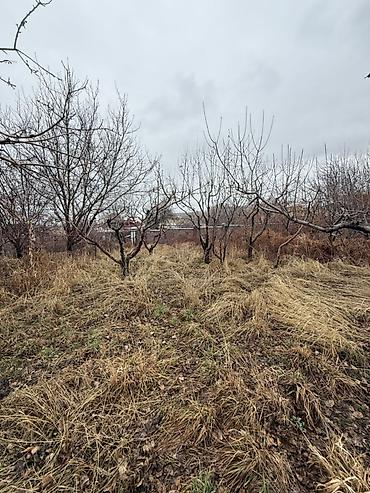 Продажа коттеджей и домов: 🏠 Эксклюзивный вариант! Продаётся дом в Чон-Арык 🏡 Участок: 12 соток — 4