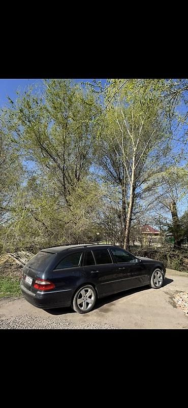 mers 711: Mercedes-Benz E-Class: 2004 г., 2.7 л, Автомат, Дизель, Универсал — 3