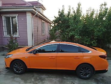 шинен москвич: Hyundai Sonata: 2019 г., 2 л, Автомат, Газ, Седан — 6