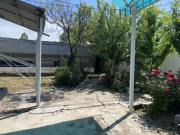 Продажа полдома: Село КунТуу Продаю полдома 3 комнаты Рядом со школой и детским садом at lalafo.kg — 11 Продажа полдома: Село КунТуу Продаю полдома 3 комнаты Рядом со школой и детским садом — 11