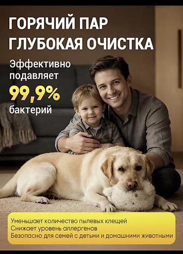 Техника и электроника: Пароочиститель Новый — 4