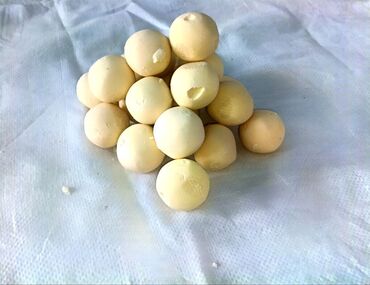 продам картошку: Куруттардын баардык түрүн жасайбыз сиз каалаган размерлерди чыгарабыз
