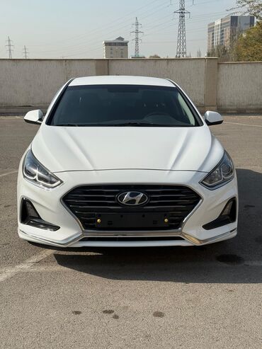 краска машина: Hyundai Sonata: 2019 г., 2 л, Автомат, Газ, Седан