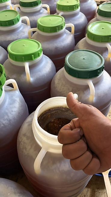Мёд: Натуральный мёд в канистрах - Продукт: настоящий пчелиный мёд, густой — 2
