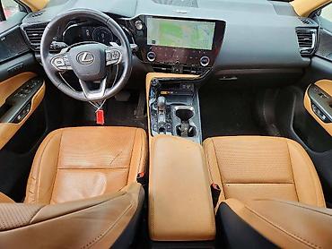 nx: Lexus NX: 2022 г. — 7