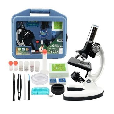 микроскоп детский: Стекло на столик микроскопа и зафиксируйте его клипсами