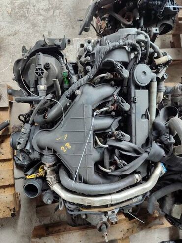 двигатель опель сенатор: Двигатель Citroen C5 2.0 HDI DIESEL RHO 2008 (б/у)
