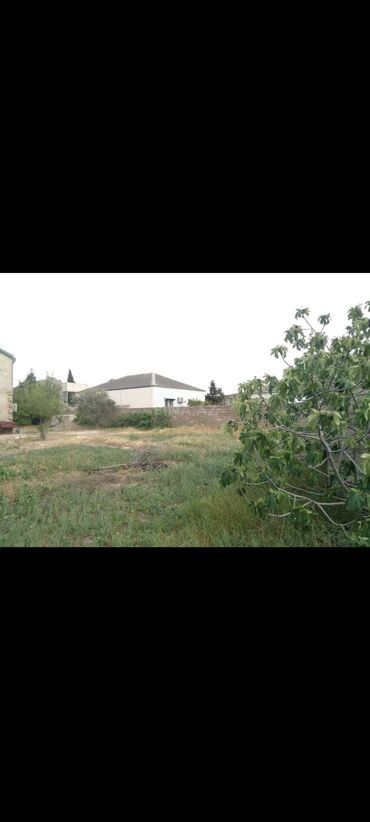 Həyət evləri və villaların satışı: 4 otaqlı, 180 kv. m, Orta təmir -da lalafo.az — 6 Həyət evləri və villaların satışı: 4 otaqlı, 180 kv. m, Orta təmir — 6