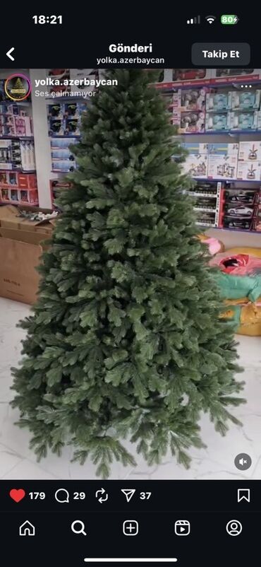 kivi ağacı: Süni Yeni il şam ağacı - Realistik, sıx və həcimli budaqlar – iynələr