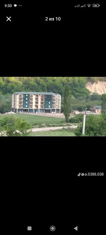 şəkidə torpaq: 50 sot, Kənd təsərrüfatı, Mülkiyyətçi, Kupça (Çıxarış) — 1