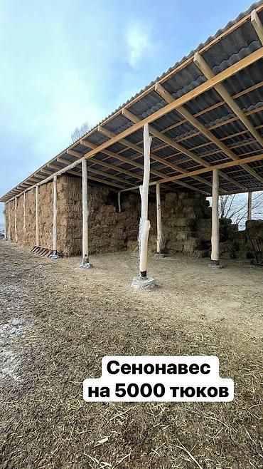 Продажа участков: 1000 соток, Для бизнеса, Красная книга — 9