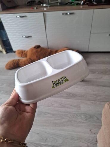 Pişiklər: Sekildeki pisik onu saxlaya bilen aileye satilir,,,cox mehriban — 14