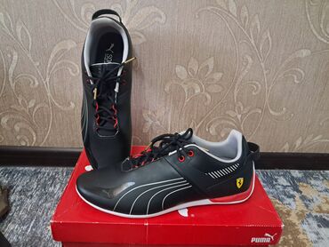 лоро пиано обувь бишкек цена: Мужские кроссовки, 47, Puma, Новый, цвет - Черный, Самовывоз, Платная доставка