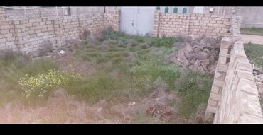 hökməlidə torpaq sahəsi: 1 sot, Tikinti, Mülkiyyətçi, Bələdiyyə, Müqavilə