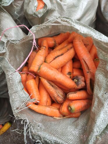 Корма для с/х животных: Морковь для корма мешок