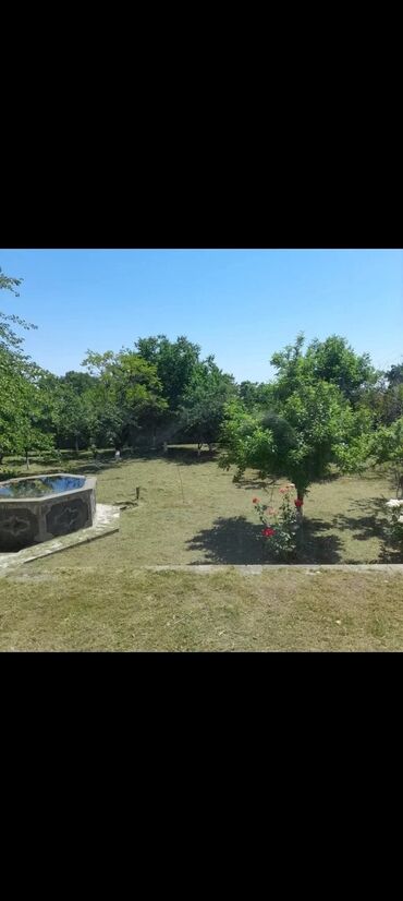 Həyət evləri və villaların satışı: 5 otaqlı, 250 kv. m, Kredit yoxdur, Yeni təmirli -da lalafo.az — 4 Həyət evləri və villaların satışı: 5 otaqlı, 250 kv. m, Kredit yoxdur, Yeni təmirli — 4