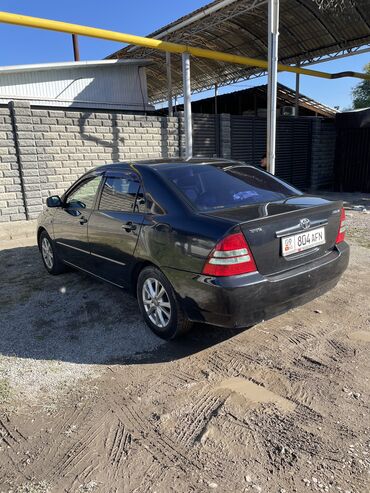 тайота раум 2003: Toyota Corolla: 2003 г., 1.5 л, Автомат, Бензин, Седан