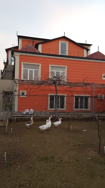 Ağlay: İsti aqlay (Termo aqlay) şok şok şok Qiş endirimləri Başladi, 1.95 azn -da lalafo.az — 20 Ağlay: İsti aqlay (Termo aqlay) şok şok şok Qiş endirimləri Başladi, 1.95 azn — 20