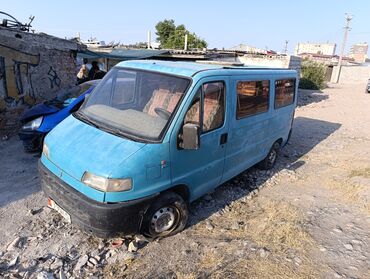 фиат чинквиченто: Fiat Ducato: 1994 г., 2.5 л, Механика, Газ, Бус