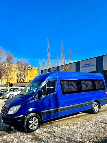 rex sprinter: Пункт назначения: Все направления, Количество мест: 17, Лицензия №: ФПП-Н-33 — 2
