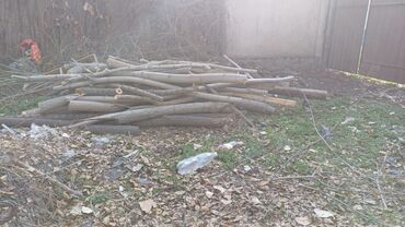 Дрова: Дрова — 10