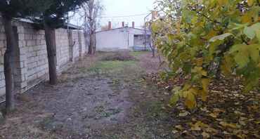 Torpaq sahələrinin satışı: 10 sot, Biznes üçün, Mülkiyyətçi, Kupça (Çıxarış) — 7