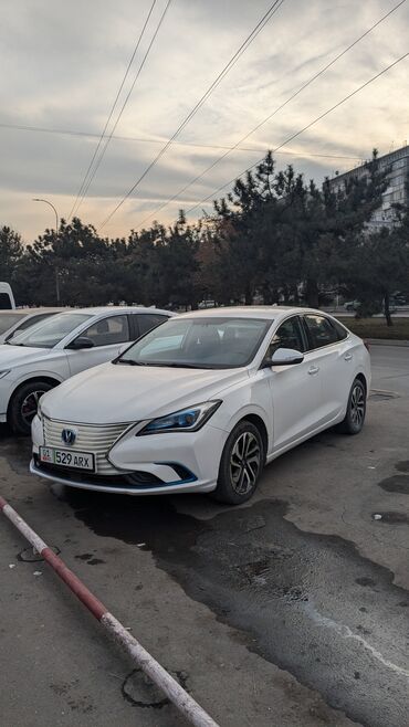 Changan: Changan Eado: 2019 г., 0.1 л, Автомат, Электромобиль, Седан