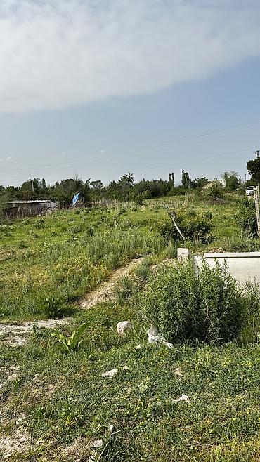 кок талаа: 9 соток, Курулуш, Кызыл китеп, Сатып алуу-сатуу келишими, Техпаспорт — 7