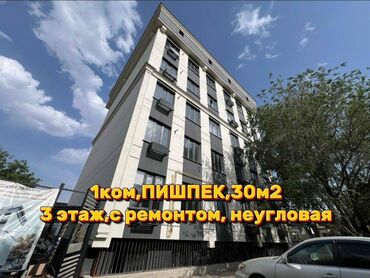 ищу квартиру дордой рынок рядом: 1 бөлмө, 30 кв. м, Элитка, 3 кабат, Евроремонт