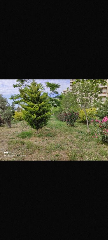 Yeni tikili: 3 otaqlı, Yeni tikili, 65 kv. m — 17