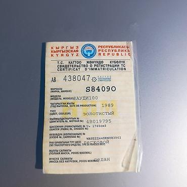 донголок 195 70 15 с: Audi 100: 1989 г., Седан — 4