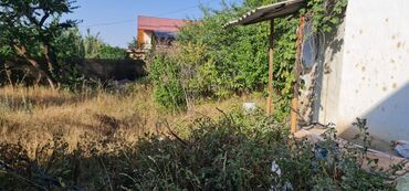 участки в бишкеке в рассрочку: Продажу участок на территории 
садоводческого общества
с. кашка суу