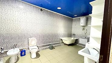 Үйлөрдү ижарага берүү: 280 м², 6 бөлмө, Жаныбарлар менен болот — 8